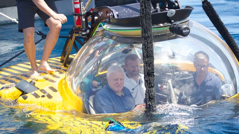 David Attenboroughs Great Barrier Reef