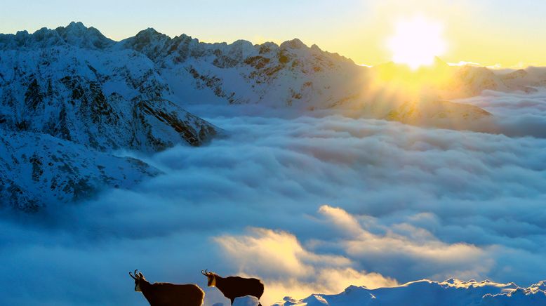 Die Hohe Tatra