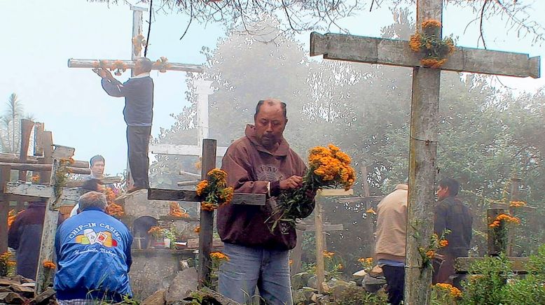 Der Pazifische Feuerring