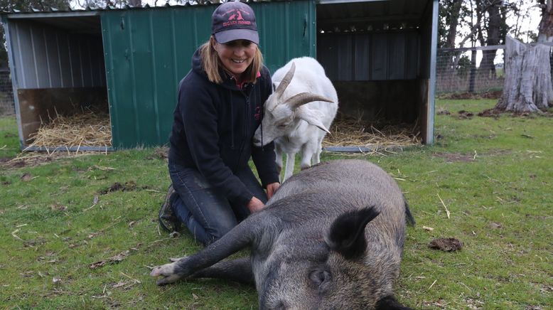 Tierische Freundschaften