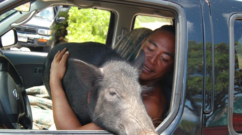 Tierische Freundschaften