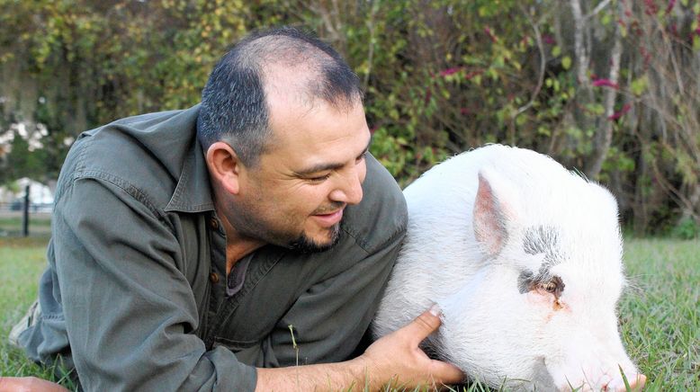 Tierische Freundschaften