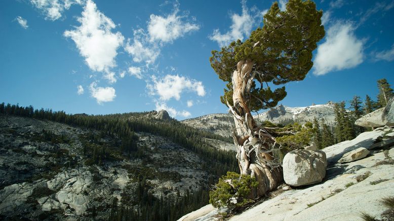 Amerikas Nationalparks