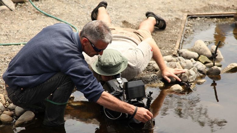 Auf der Suche nach dem Monsterfisch