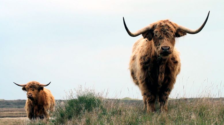 Frankreich - Wild und Schön