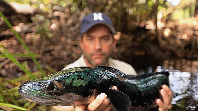 Auf der Suche nach dem Monsterfisch