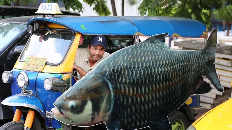 Auf der Suche nach dem Monsterfisch