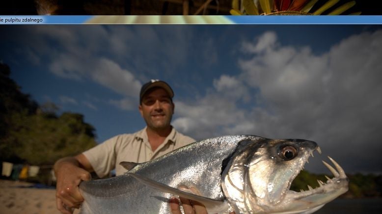 Auf der Suche nach dem Monsterfisch