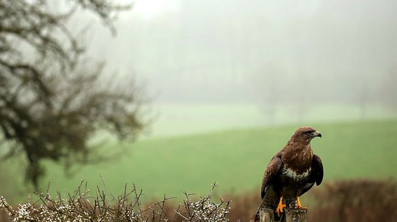 Frankreich - Wild und Schön