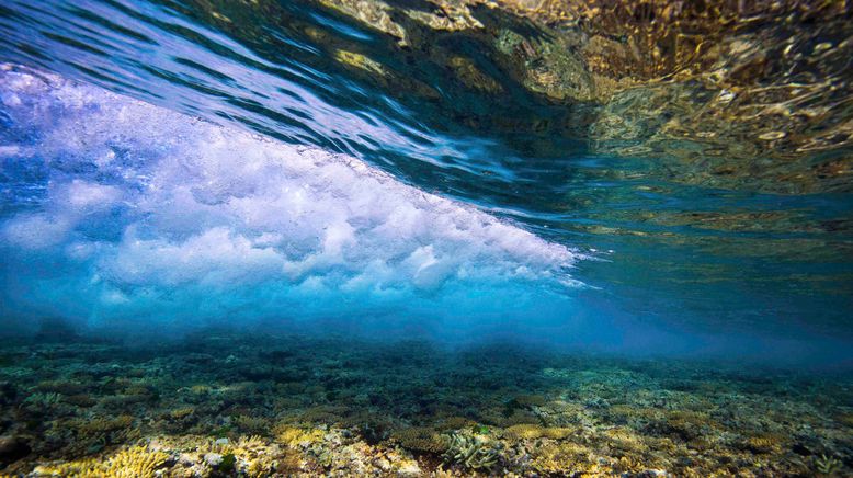 David Attenboroughs Great Barrier Reef