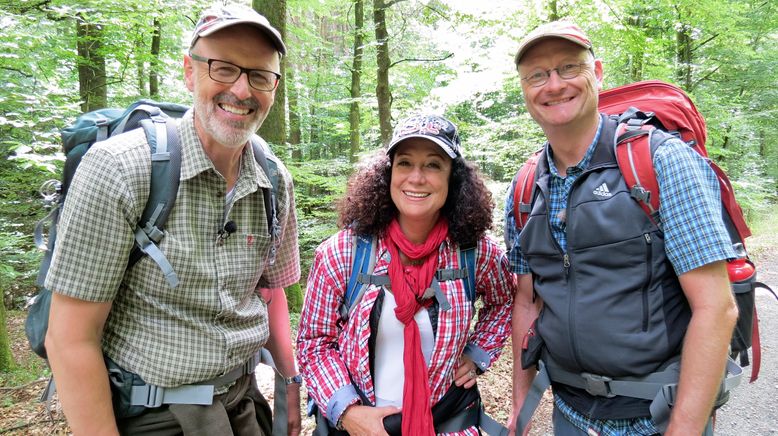 Der mit dem Wald spricht - Unterwegs mit Peter Wohlleben