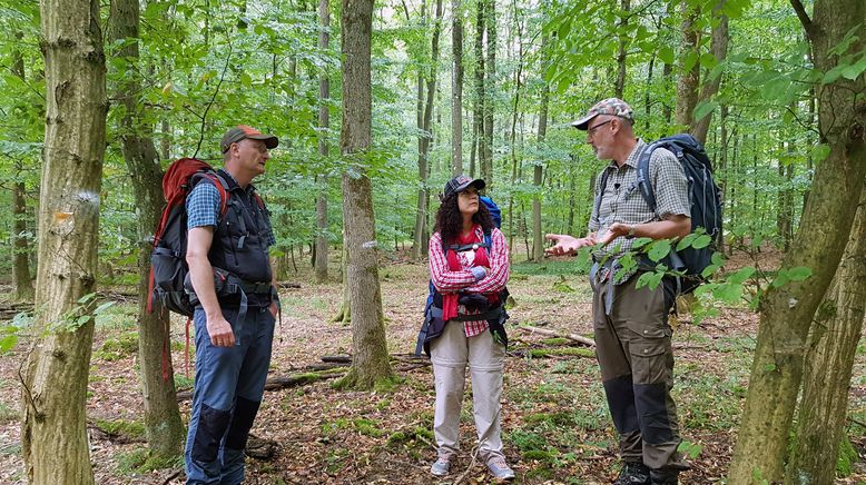 Der mit dem Wald spricht - Unterwegs mit Peter Wohlleben