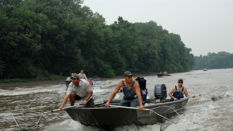 Auf der Suche nach dem Monsterfisch