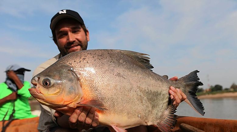 Auf der Suche nach dem Monsterfisch