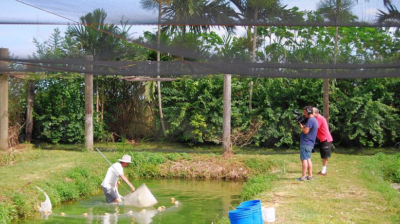 Fish Tank Kings - Gigantische Wasserwelten