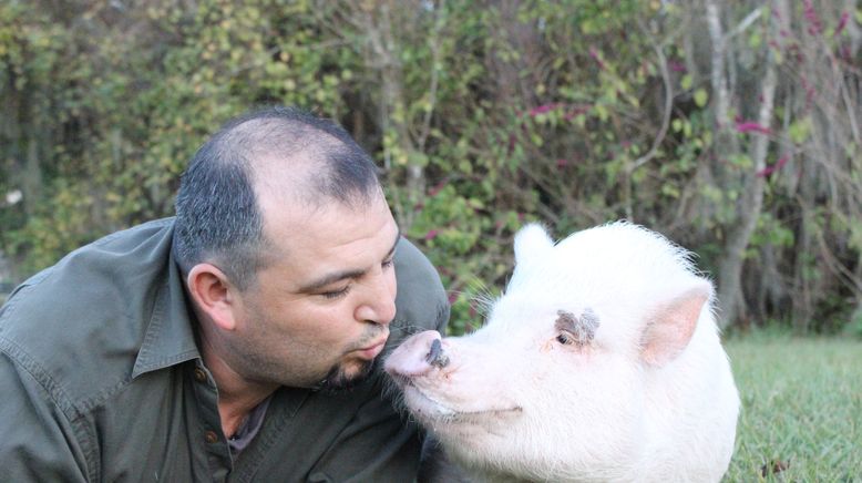 Tierische Freundschaften