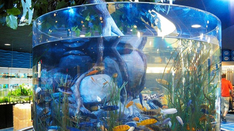 Fish Tank Kings - Gigantische Wasserwelten