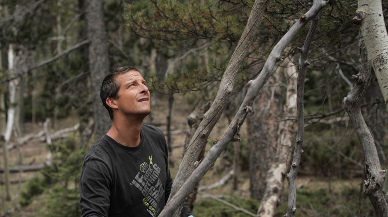 Bear Grylls: Stars am Limit