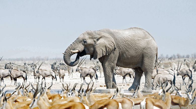 Unentdecktes Nordnamibia (1/2)