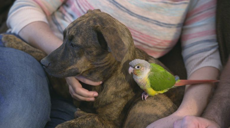 Tierische Freundschaften