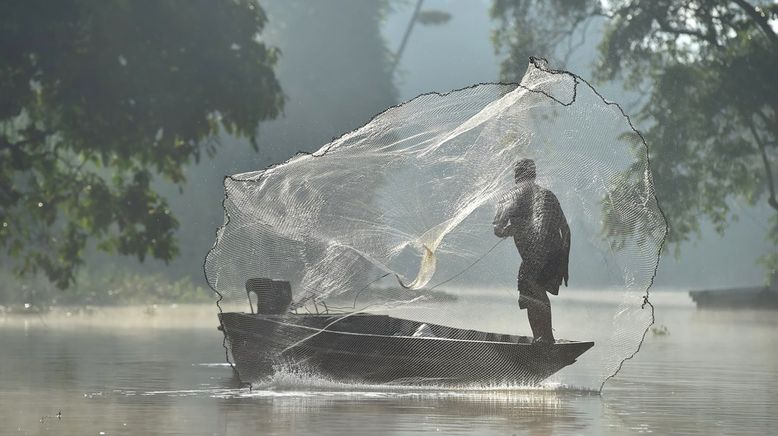 Kinabatangan, der Amazonas des Ostens