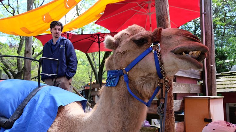 Bronx Zoo - Tierpark der Superlative