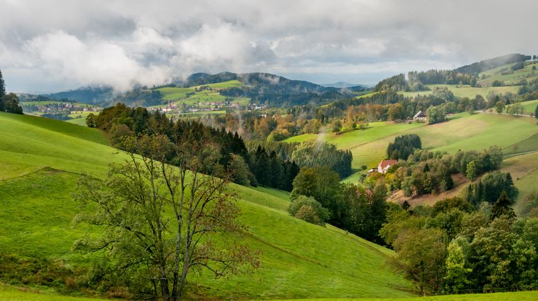 Geschichte der Bundesländer