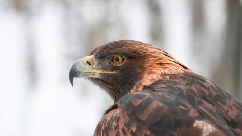 Bronx Zoo - Tierpark der Superlative