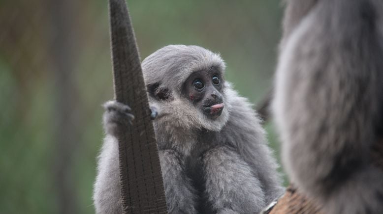 Zoo und so - Tierisch wild!