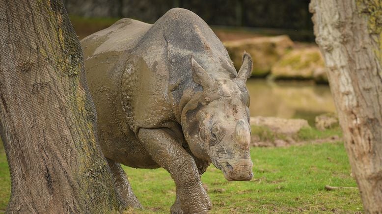 Zoo und so - Tierisch wild!