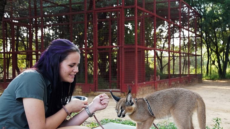 Raising Wildlife: Aufzucht in der Wildnis