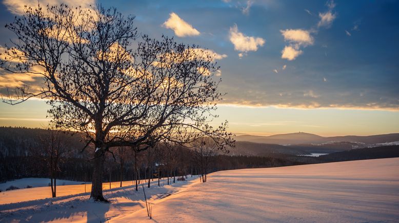 Sagenhaft - Advent im Weihnachtsland