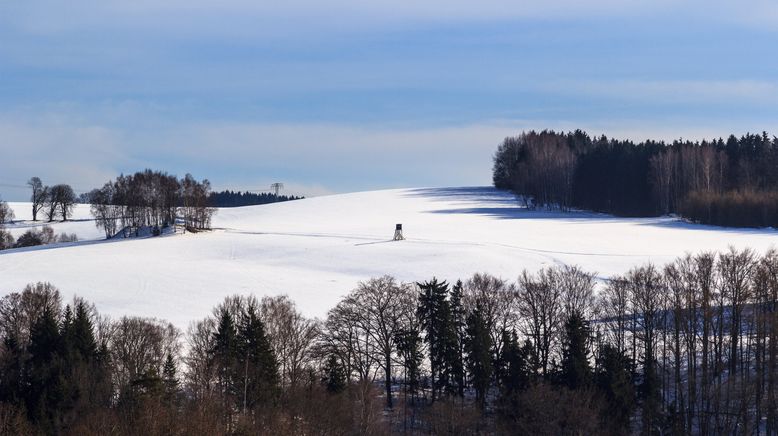 Sagenhaft - Advent im Weihnachtsland