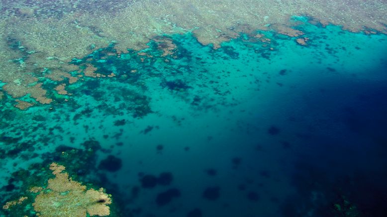 David Attenboroughs Great Barrier Reef