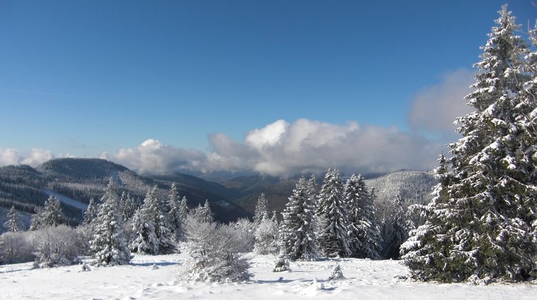 Winter im Hochschwarzwald