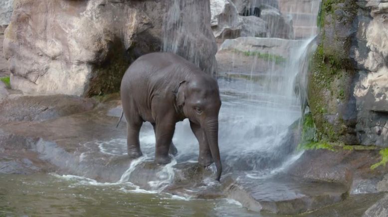 Zoo und so - Tierisch wild!